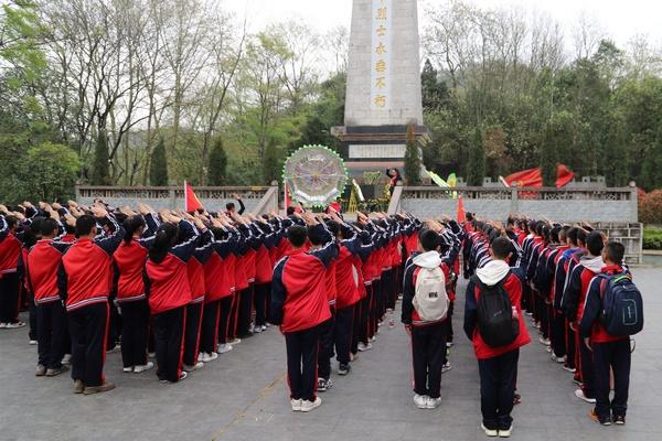 格斗巅峰大作战1.1